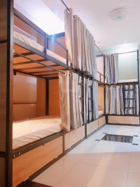 Cho thuê homestay sleepbox cao cấp, Q10, full nội thất