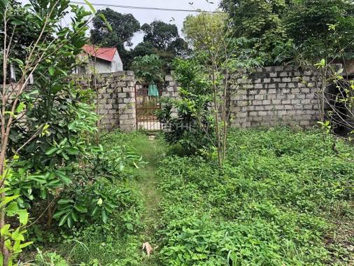 Nhỉnh 1tỷ xíu có ngay hơn 400m2 đất thích hợp làm nhà vườn tại Kim Sơn, cách TL416 400m, 0866990503