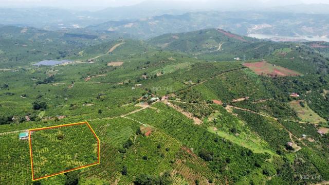 Bán trang trại, khu nghỉ dưỡng tại đường 28, Di Linh, Lâm Đồng diện tích 10000m2 giá 6.8 tỷ