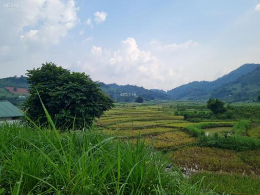 Cắt bán lô đất có 1000m2 ONT tại Cao Phong - Hòa Bình. Giá rẻ cho nhà đầu tư