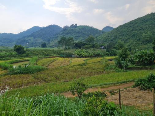 Cắt bán lô đất có 1000m2 ONT tại Cao Phong - Hòa Bình. Giá rẻ cho nhà đầu tư
