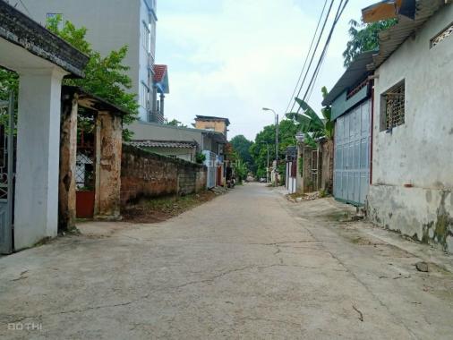 Hơn 700tr sở hữu 100m2 đất ở đô thị thị xã Xuân Khanh, Sơn Tây, Hà Nội