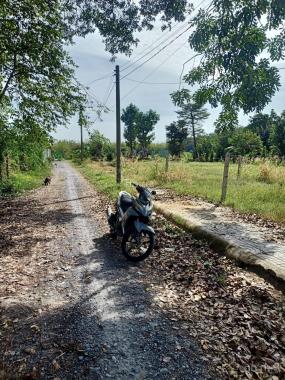 Bán đất Củ Chi, lô đất mặt tiền đường trải đá 4m xe ô ô, 1 sẹc ngắn Nguyễn Thị Rành, dt 110m2