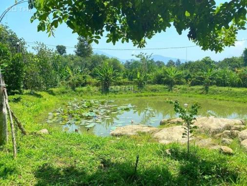 Bán đất vườn gần nút giao cao tốc Sài Gòn - Phan Thiết. 750tr/1000m2