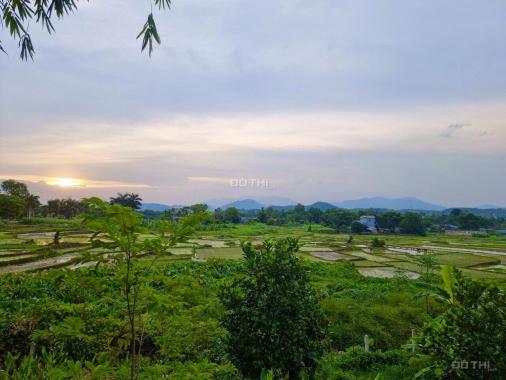 Bán đất Lương Sơn giá siêu rẻ view cánh đồng S=1290m2