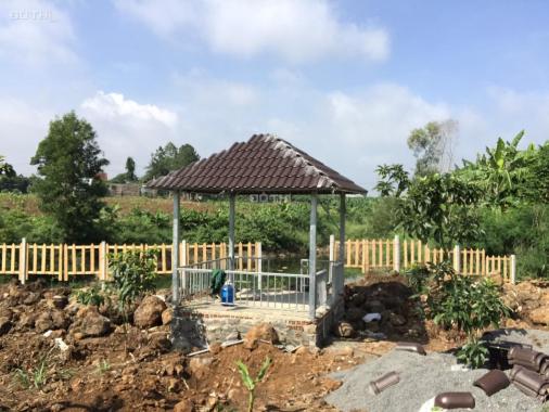 Khu du lịch sinh thái, Sản phẩm nhà vườn tại xã Thanh Bình Trảng Bom