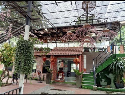 Sang gấp quán cafe sân vườn 1600m2 tại Nguyễn Thị Búp P Hiệp Thành Q12