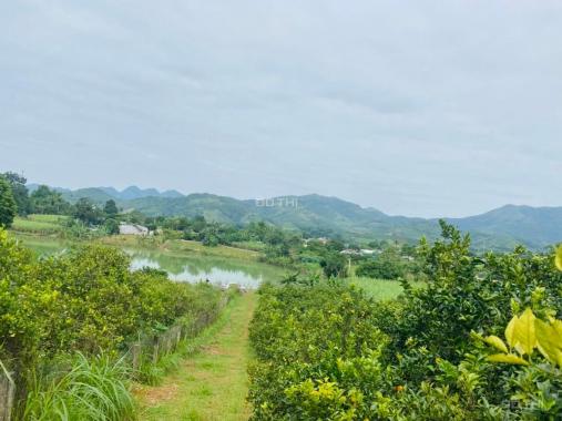 Hot, cần bán 8.000m2 đất thổ cư view cực đẹp tại Cao Phong, Hòa Bình