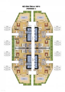 Bán suất NG penthouse duplex vip nhất HN, 70tr/m2, sân vườn bể bơi 315 - 441m2 CC Discovery Complex