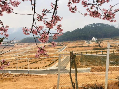 Langbiang Town - Nhượng lại 2 nền biệt thự đẹp, sát trung tâm thương mại, đã có sổ đỏ giá 15,5tr/m2