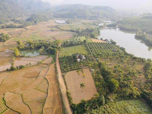 Siêu phẩm 9.700m2 đất bám hồ siêu đẹp tại Kim Bôi, Hòa Bình