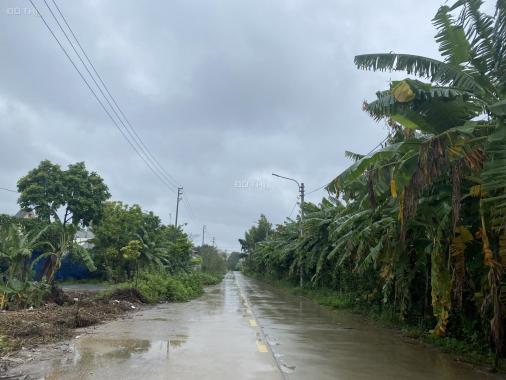 Bán 1000m2 đất chính chủ Đại Lan, Thanh Trì, Hà Nội