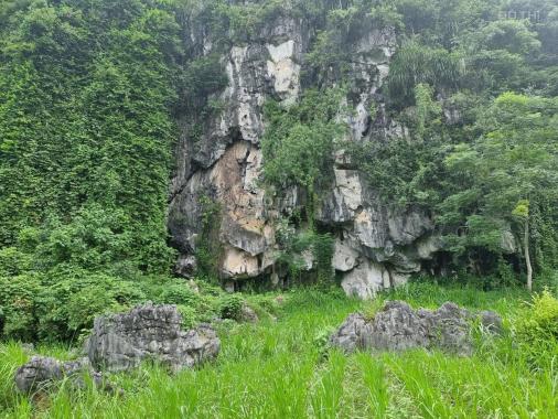 Nhanh tay sở hữu ngay 6800m2 đất thổ cư giá chỉ hơn 2 tỷ tại Tân Lạc, Hòa Bình