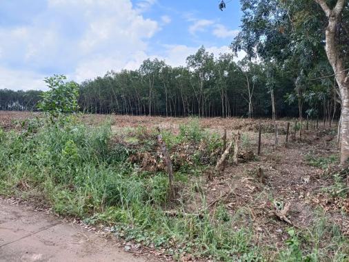 Bán đất gấp 1 lô đất Lộc Ninh - Bình Phước