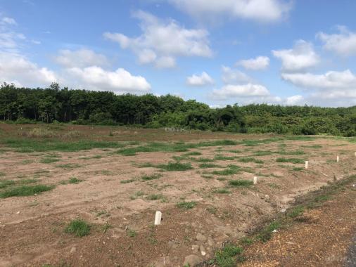 Đất ngộp Bình Phước 300m2 giá siêu mềm - Thổ cư
