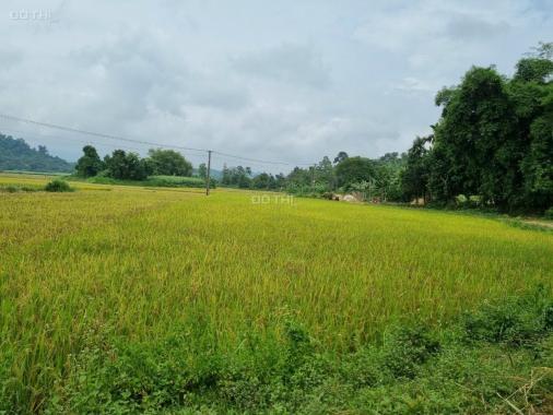 Chủ cắt bán 3200m2 có 200m2 thổ cư tại Tân Lạc, view cánh đồng, đất bằng phẳng, giá đầu tư