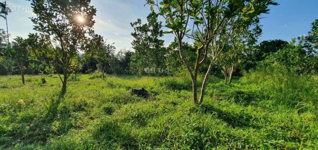 3200m2 có 200m2 thổ cư tại Mỹ Hòa - Tân Lạc, view cao thoáng. Giá đầu tư sinh lời cao