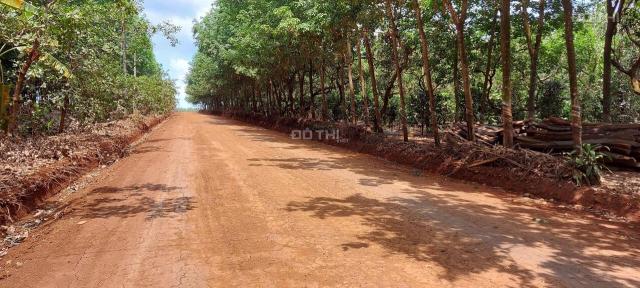 Bán lô đất siêu đẹp để phân lô MT dài 307m, sâu 70m, Phú Riềng, Bình Phước