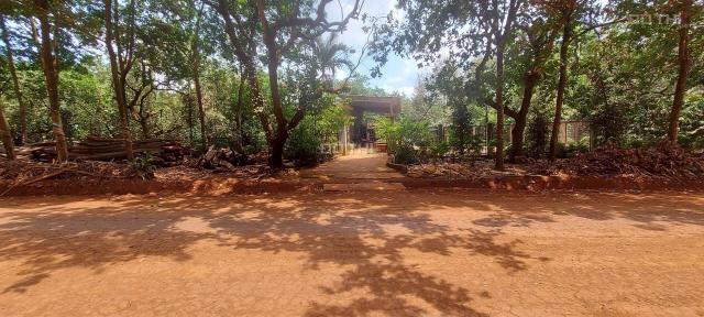 Bán lô đất siêu đẹp để phân lô MT dài 307m, sâu 70m, Phú Riềng, Bình Phước