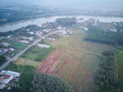Bán 1,68ha đất mặt tiền đường Trung An Huyện Củ Chi, giá chỉ 5,2 triệu/m2