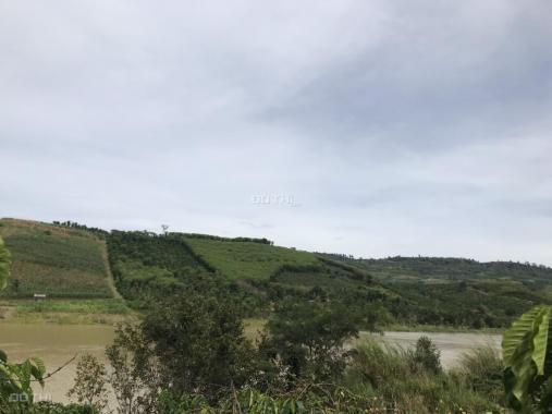 Bán đất tại Bảo Lộc, Lâm Đồng diện tích 1000m2 giá 250.000 nghìn/m2