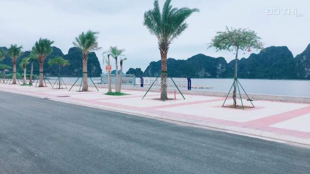 Ra bảng hàng mới đất nền mặt biển dự án TTP Cẩm Phả, Quảng Ninh