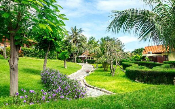 Đất biển Ecogreen Mũi né, view biển liền kề sân bay Phan Thiết