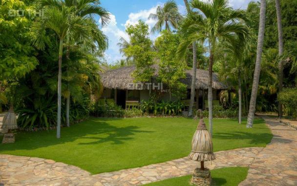 Đất biển Ecogreen Mũi né, view biển liền kề sân bay Phan Thiết