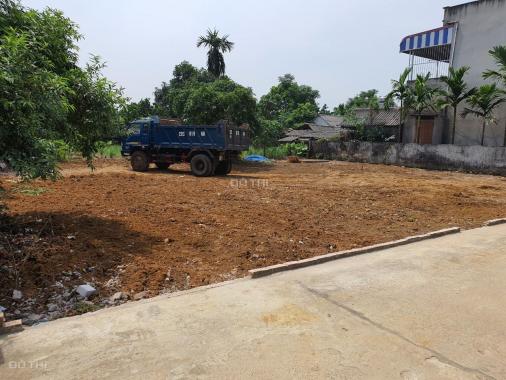Bán lô đất 425m2 tại thôn Hòa Trúc xã Hòa Thạch huyện Quốc Oai TP Hà Nội