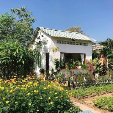 Bán đất vườn gần ngã 3 Hàm Đức, Bình Thuận. Sổ đỏ cầm tay, giá đầu tư: 750 nghìn/m2