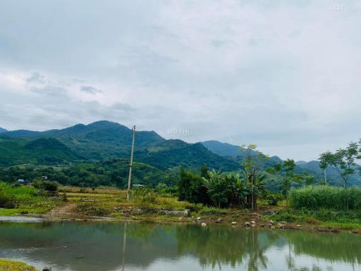 Cần bán lô đất bám suối view siêu đẹp tại Kim Bôi - Hoà Bình