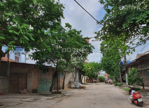 Chính chủ bán 752m2 đất tại Thắng Trí, Minh Trí, Sóc Sơn