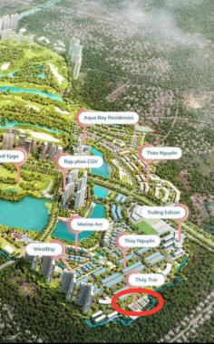 Chính chủ bán nhà phố Thủy Trúc Ecopark căn góc 130m2