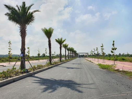 Dự án Mega City 2 nằm trên mặt tiền đường 25C liên kết trực tiếp với sân bay QT Long Thành