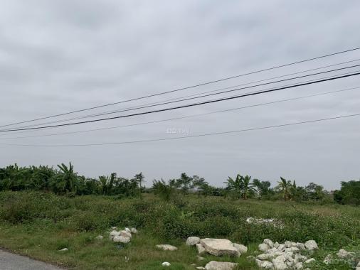 Bán đất tại Xuân Trường, Nam Định diện tích 4390m2 giá 62 tỷ