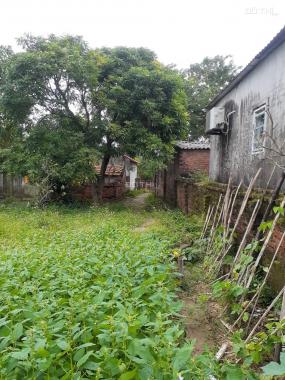 Cần bán mảnh đất tại Thôn Trừng Xá, Xã Trừng Xá, Huyện Lương Tài, Bắc Ninh