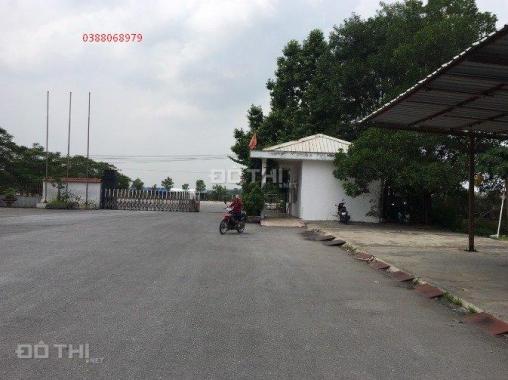 Cho thuê 1500m2 kho bên Dương Kinh, gần cầu Rào, đủ tiêu chuẩn PCCC tự động