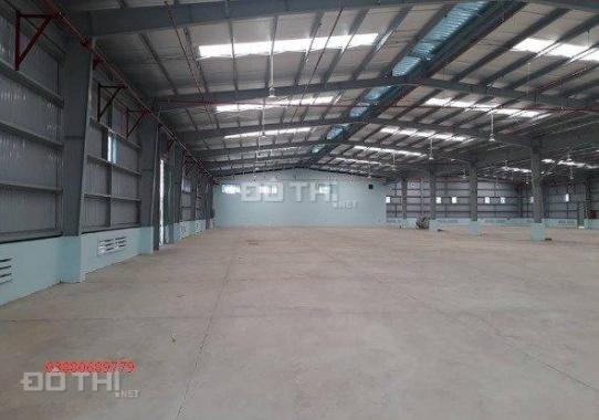 Cho thuê 1500m2 kho bên Dương Kinh, gần cầu Rào, đủ tiêu chuẩn PCCC tự động