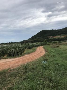 Bán 1.7 ha đất Tân Tiến, thị xã LaGi view Hồ Núi đất giá mềm