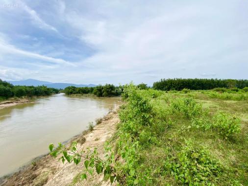 Bán đất cây lâu năm 15.000m2 xã Khánh Đông giáp Sông mặt tiền Tỉnh Lộ 8 giá rẻ