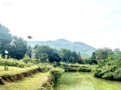 Bán gấp 8334m2 đất đẹp view thoáng tại Cư Yên, Lương Sơn