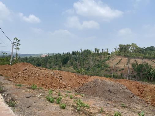 Bán đất tại Xã Hàng Gòn, Long Khánh, Đồng Nai diện tích 1800m2 giá 1,4 triệu/m2