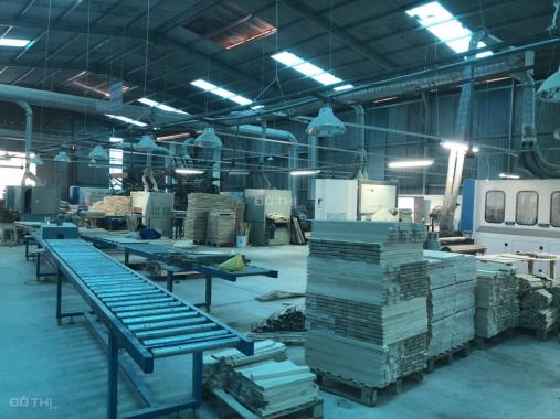 Bán nhà xưởng và toàn bộ máy móc thiết bị ngành gỗ tại Trảng Bom, Đồng Nai
