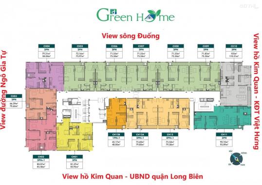 Căn hộ xanh 2PN cuối cùng tại Phương Đông Green Home giá chỉ từ 31tr/m2
