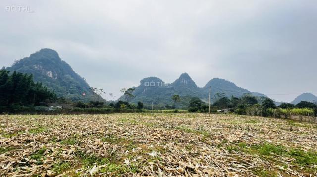 Cần bán 3624m2/2.900m2 thổ cư tại Tú Sơn, Kim Bôi, Hoà Bình giá 2,2 tỷ