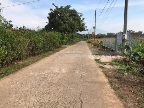 Bán lô đất xã Xuân Phú, Xuân Lộc, mặt tiền 38m, đường ô tô, giá đầu tư