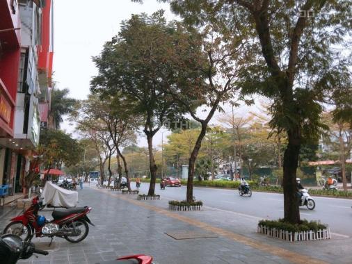 Mặt phố Nguyễn Khánh Toàn, lô góc, Kd đỉnh. DT 55m2 x7 tầng thang máy 15.5 tỷ