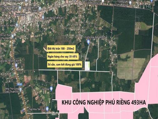 Cần bán nhanh đất có sổ nằm ngay trung tâm Phú Riềng - Tỉnh Bình Phước