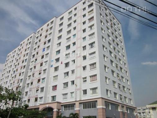 Cho thuê chung cư Bông Sao, Tạ Quang Bửu, Q8, 60m2, 2PN, 1WC, giá 6tr