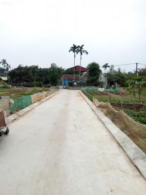 Bán đất tại đường Phạm Ngũ Lão, Xã Hưng Long, Mỹ Hào, Hưng Yên diện tích 85m2 giá 850 triệu